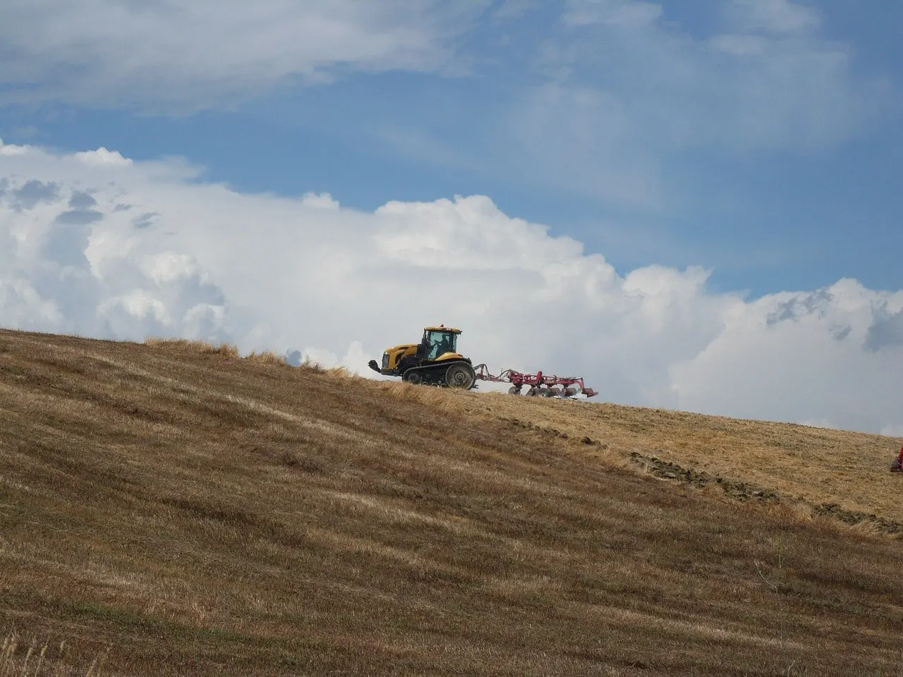 Agroalimentaire